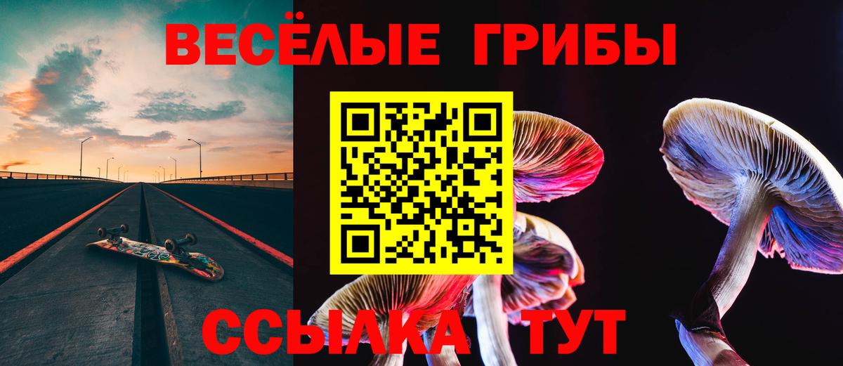 Галлюциногенные грибы мицелий  Галлюциногенные грибы GOLDEN TEACHER  Вход с VPN  где купить наркоту  Нурлат 