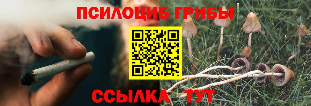Псилоцибиновые грибы прущие грибы Нурлат